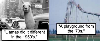 An image of a llama riding a cab in the 1950's next to an image of a child on a dangerous slide in the 1970's.