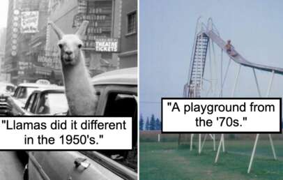 An image of a llama riding a cab in the 1950's next to an image of a child on a dangerous slide in the 1970's.