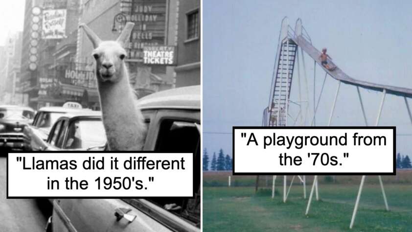 An image of a llama riding a cab in the 1950's next to an image of a child on a dangerous slide in the 1970's.