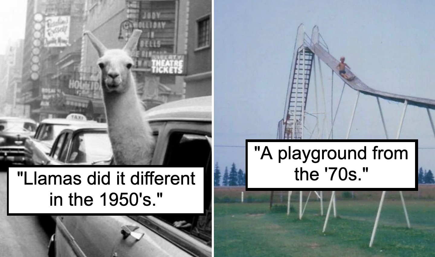 An image of a llama riding a cab in the 1950's next to an image of a child on a dangerous slide in the 1970's.