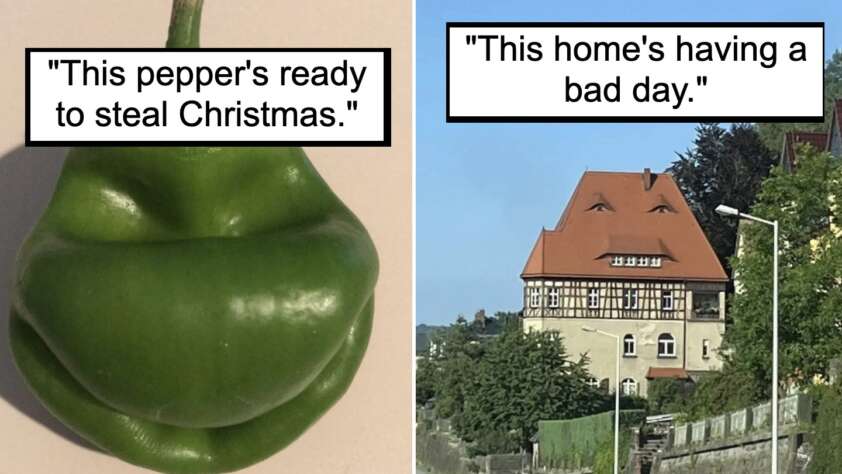 Left image: Close-up of a green pepper with a resemblance to a face, captioned "This pepper's ready to steal Christmas."
Right image: A house with a roof resembling an angry face, captioned "This home's having a bad day.