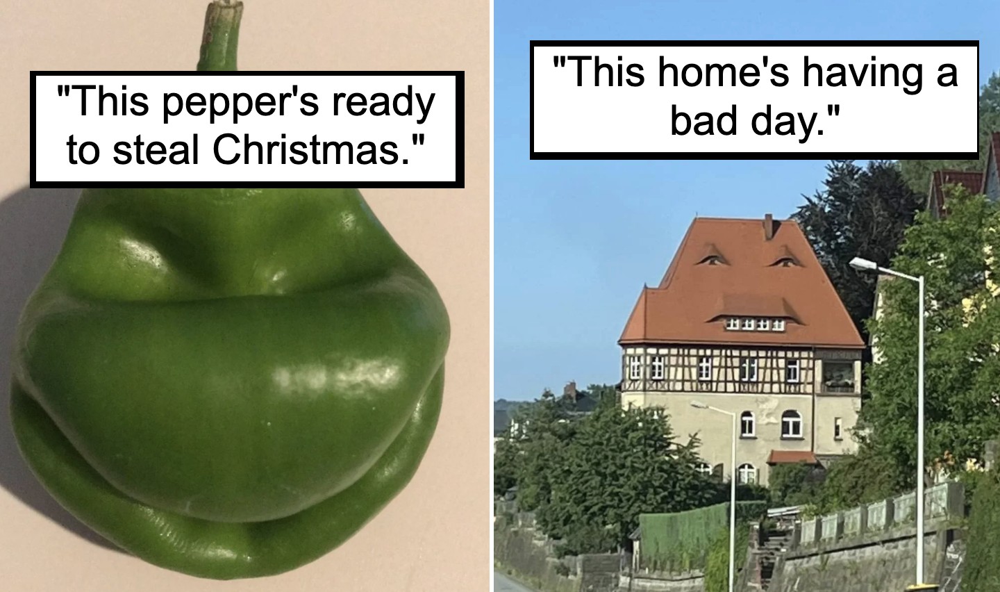 Left image: Close-up of a green pepper with a resemblance to a face, captioned "This pepper's ready to steal Christmas."
Right image: A house with a roof resembling an angry face, captioned "This home's having a bad day.