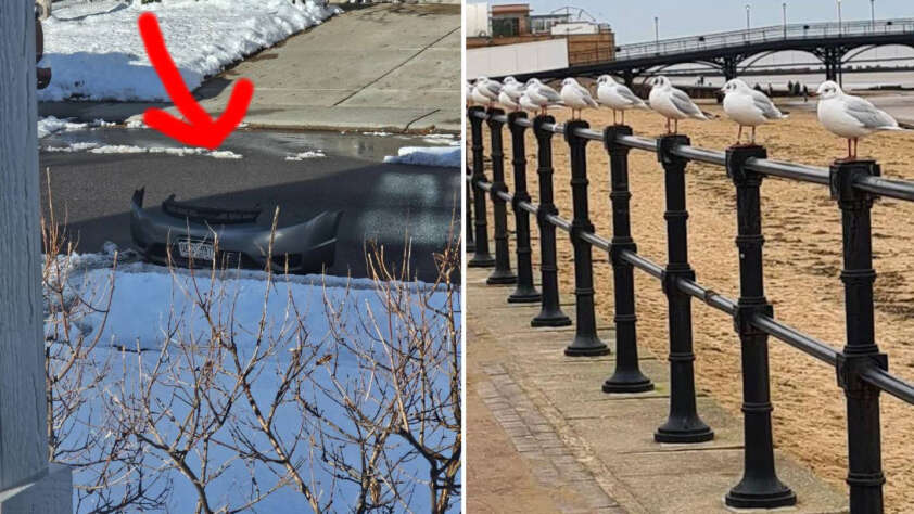 Left side: A car bumper is partially covered in snow on a street with a red arrow pointing at it. Right side: Several seagulls are perched on a railing by a sandy beach and boardwalk.