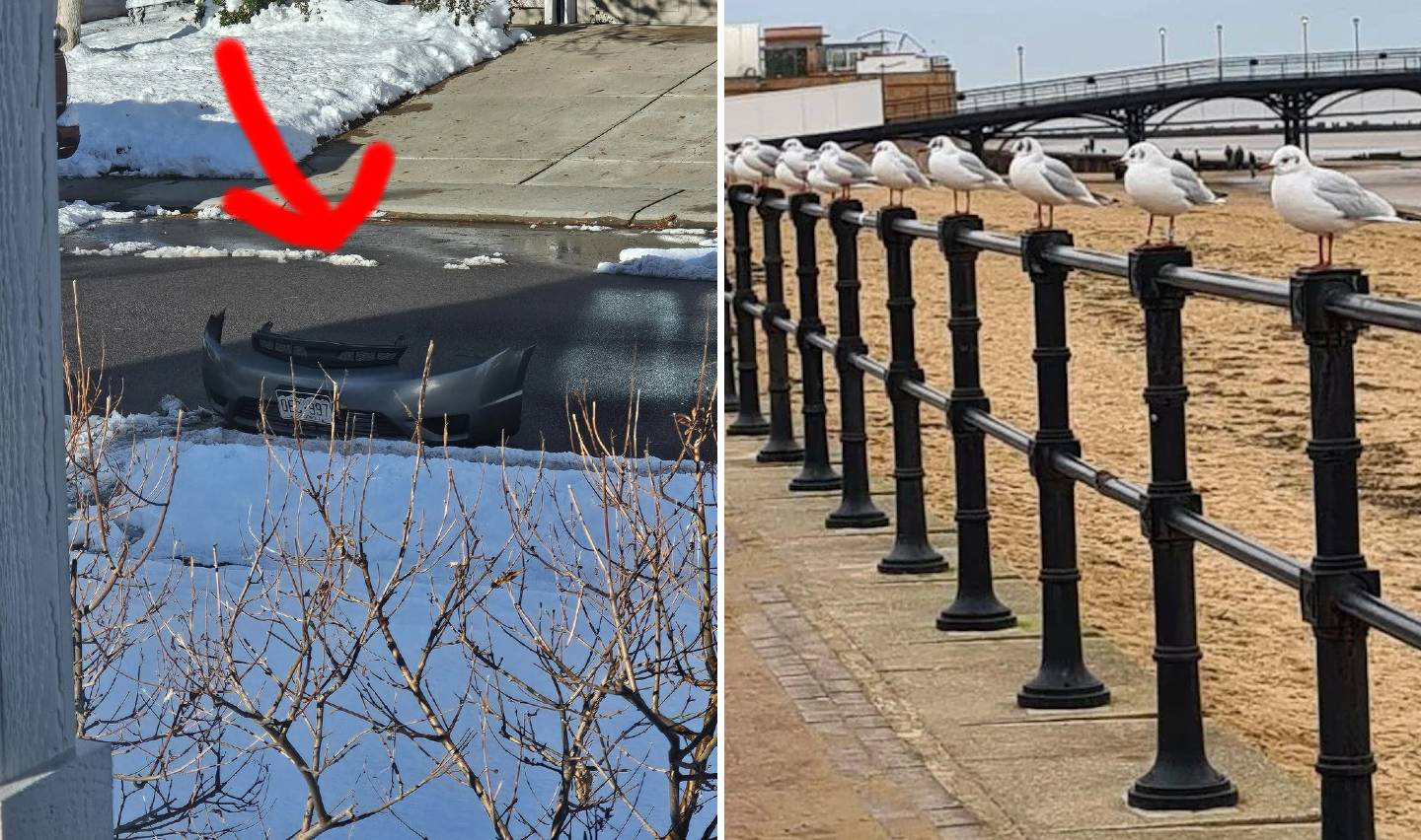 Left side: A car bumper is partially covered in snow on a street with a red arrow pointing at it. Right side: Several seagulls are perched on a railing by a sandy beach and boardwalk.