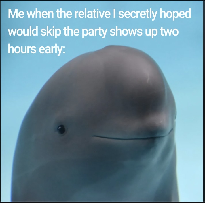 A beluga whale with a neutral expression against a light blue background, accompanied by the text: "Me when the relative I secretly hoped would skip the party shows up two hours early: