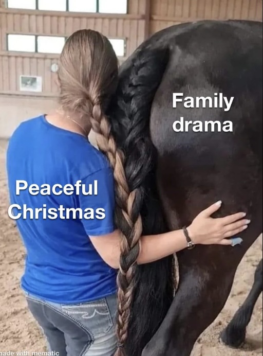 A person with a long braid stands next to a horse with its tail also braided, merging seamlessly with the person's hair. Text on the person reads "Peaceful Christmas," and text on the horse reads "Family drama.