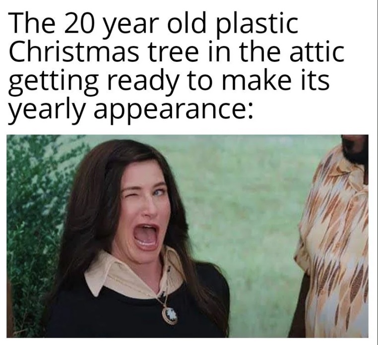 A woman winking and shouting humorously, with a caption about the anticipation of bringing down a 20-year-old plastic Christmas tree from the attic.