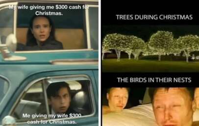 Left side: Two people in a car looking surprised with text, "My wife giving me $300 cash for Christmas. Me giving my wife $300 cash for Christmas." Right side: Lit trees labeled "Trees During Christmas" and people labeled "The Birds in Their Nests." Classic Christmas memes come to life!