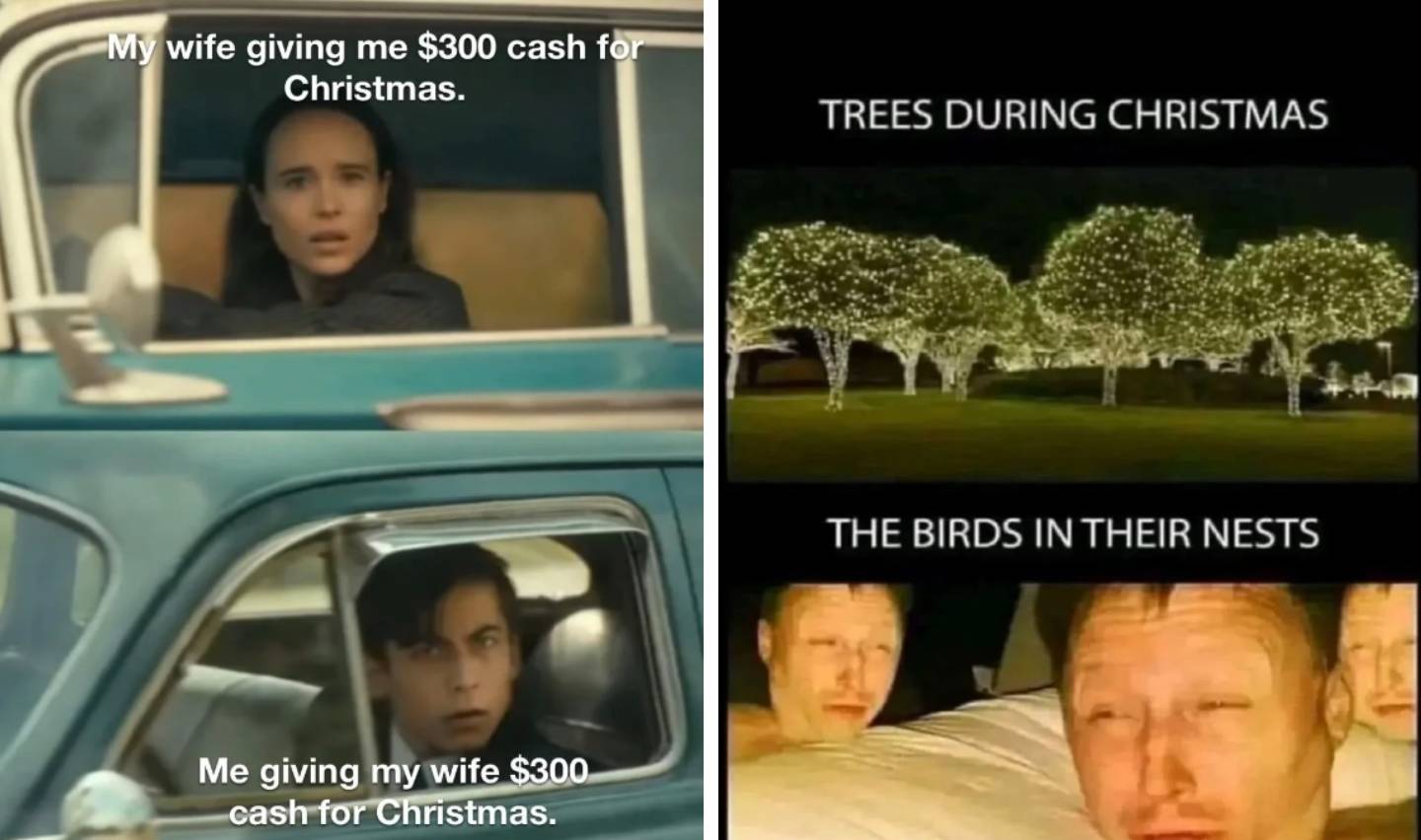 Left side: Two people in a car looking surprised with text, "My wife giving me $300 cash for Christmas. Me giving my wife $300 cash for Christmas." Right side: Lit trees labeled "Trees During Christmas" and people labeled "The Birds in Their Nests." Classic Christmas memes come to life!