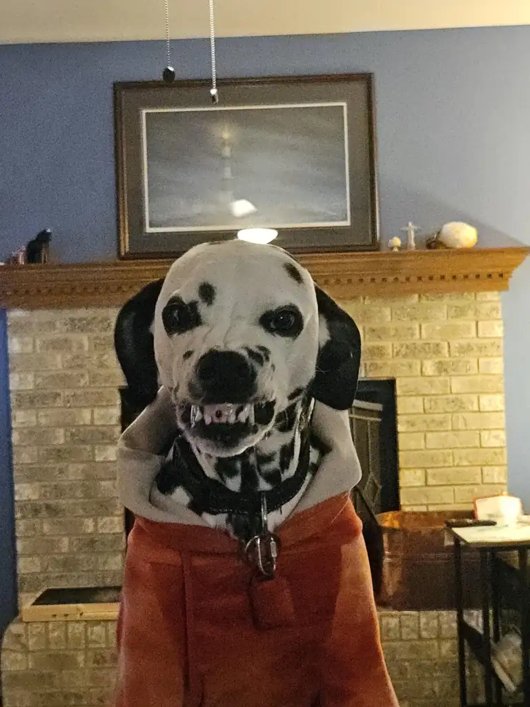 A Dalmatian wearing an orange outfit is posed in front of a brick fireplace. The dog has a playful, toothy grin. There is a framed picture and some decorations on the mantle behind. The wall is painted blue.