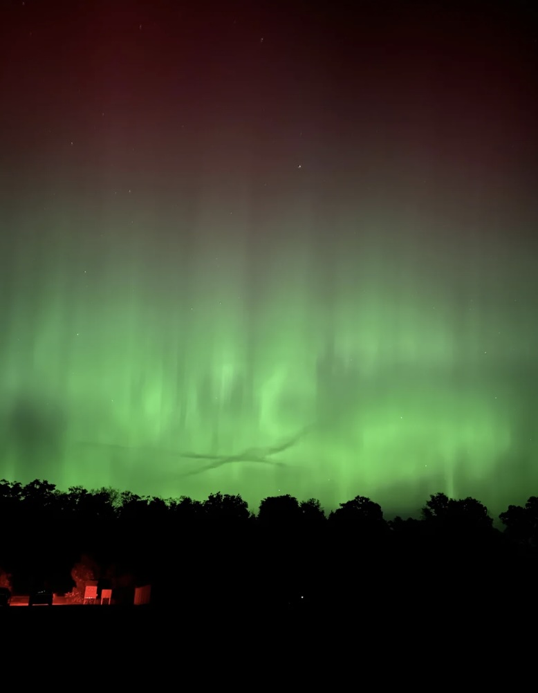 A stunning display of the northern lights fills the night sky with vibrant green and red hues above a silhouetted landscape with trees. The aurora's colors blend seamlessly, creating an enchanting and ethereal atmosphere.