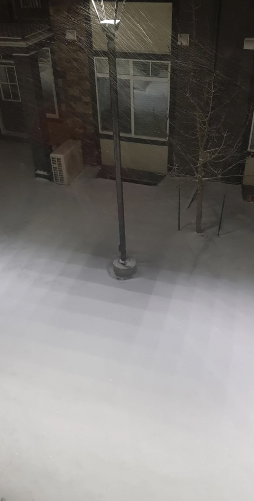 A snowy street scene at night, illuminated by a single lamppost. Snow covers the ground and nearby rooftops, and a bare tree stands next to a building with a window.