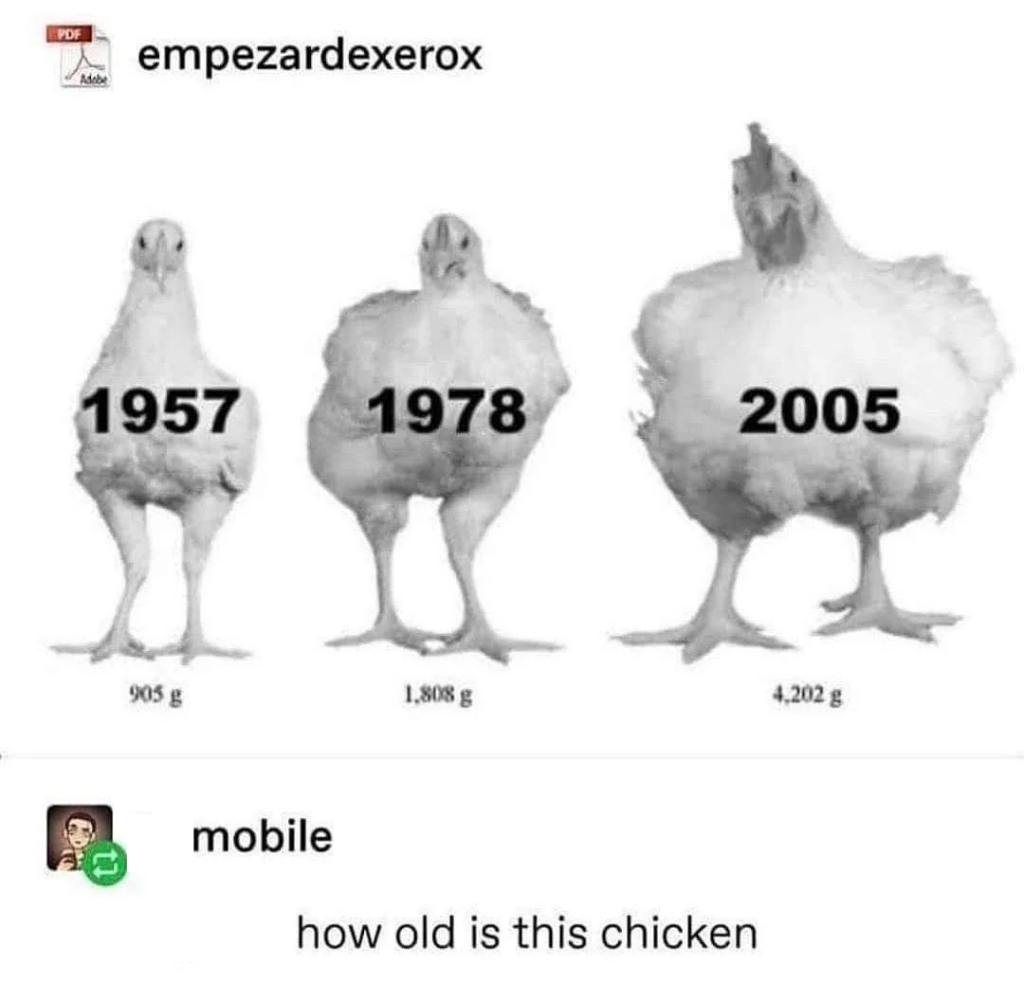 A meme with three chickens labeled with years and weights: 1957 (905g), 1978 (1,808g), and 2005 (4,202g). Below is a comment asking, "how old is this chicken.