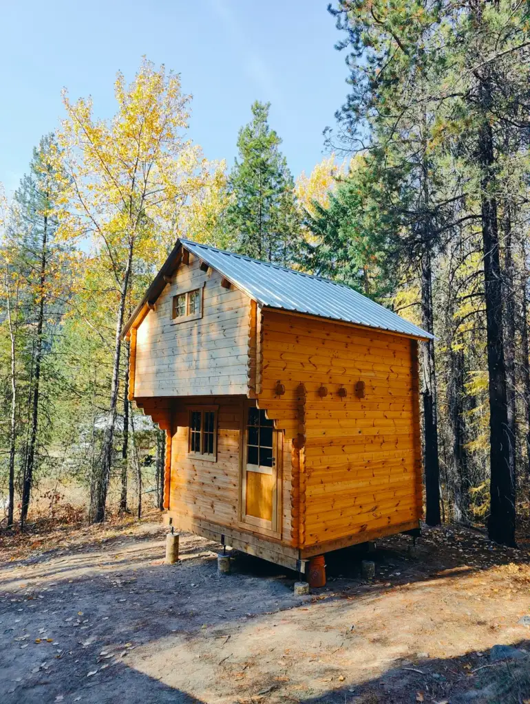 A small wooden cabin stands elevated on blocks in a forest during autumn. Tall trees with yellow and green leaves surround the cabin under a clear blue sky.