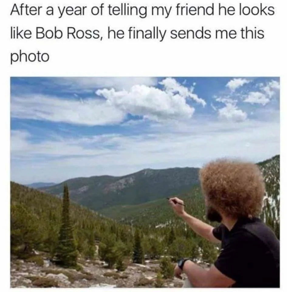 A person with an afro hairstyle is seen from behind, standing in a mountainous landscape with evergreen trees, mimicking a painting gesture. The caption humorously suggests they look like Bob Ross.