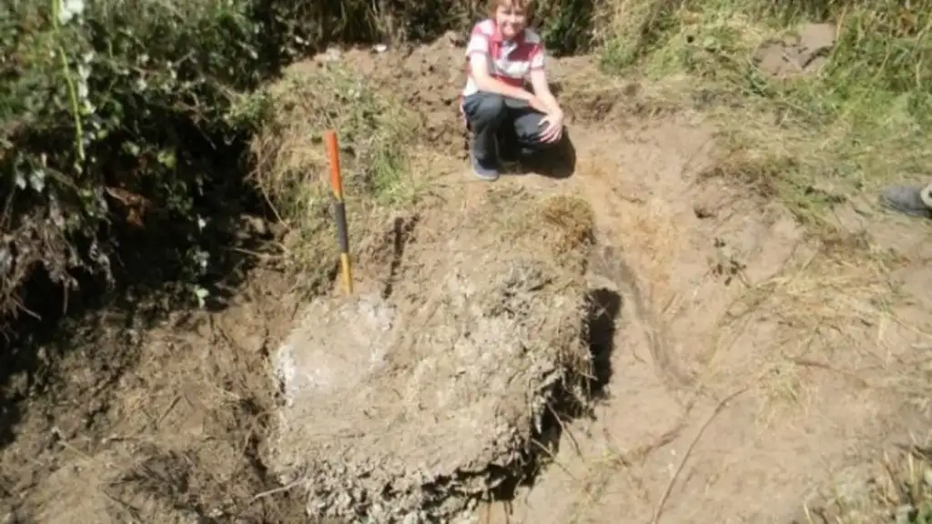 A child crouches next to a large, partially unearthed object in a grassy area. A measuring stick is placed beside the object. Surrounding vegetation and soil are visible.