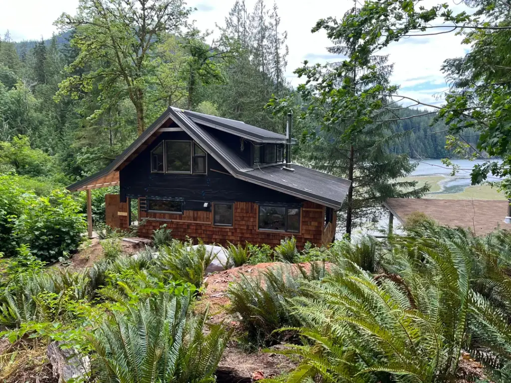 A rustic cabin with a black and wooden exterior is nestled in a lush forest. Ferns and trees surround the house, and a river is visible in the background, creating a tranquil, scenic setting.