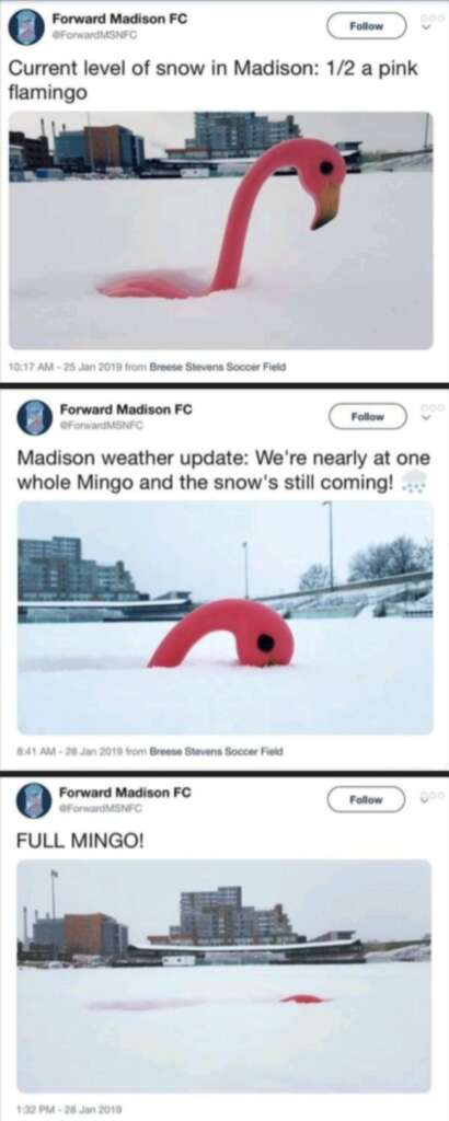 Three tweets from Forward Madison FC show a pink flamingo yard ornament progressively covered by snow. The sequence goes from half-covered, to almost buried, to fully submerged, indicating heavy snowfall in Madison.