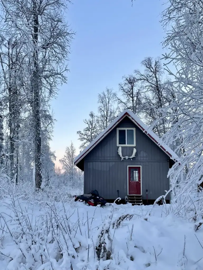 A small gray cabin with a red door is surrounded by snow-covered trees. Antlers are mounted above the door. The scene is set in a wintry forest under a clear sky.