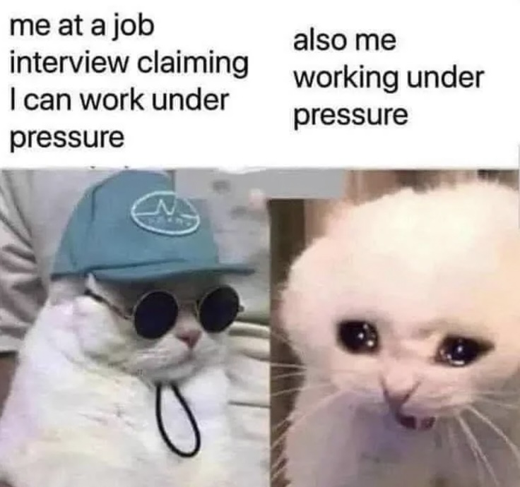 Meme with two images of cats. Left: A cat wearing sunglasses and a hat, labeled "me at a job interview claiming I can work under pressure." Right: A wide-eyed cat looking overwhelmed, labeled "also me working under pressure.