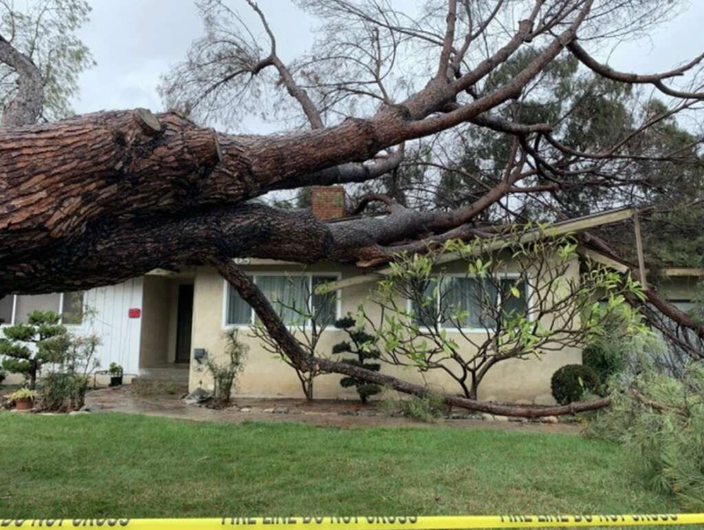 A large tree has fallen on a house, causing visible damage, prompting structural assessments. The scene is cordoned off with yellow caution tape under an overcast sky. The house, with its tan exterior and several shrubs adorning the yard, stands as a testament to nature’s unexpected power.