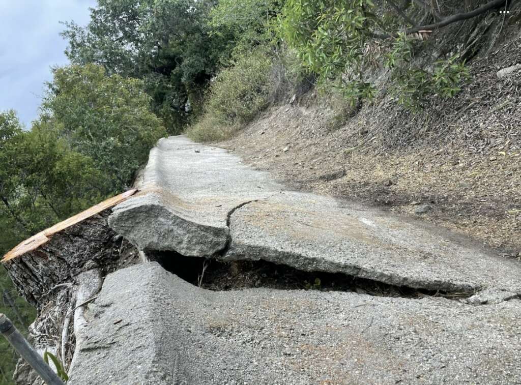 A cracked and uneven concrete pathway with significant damage near a forest awaits structural assessments. The path appears lifted and broken, possibly due to tree root growth. Surrounding greenery includes bushes and trees under an overcast sky visible in the background.