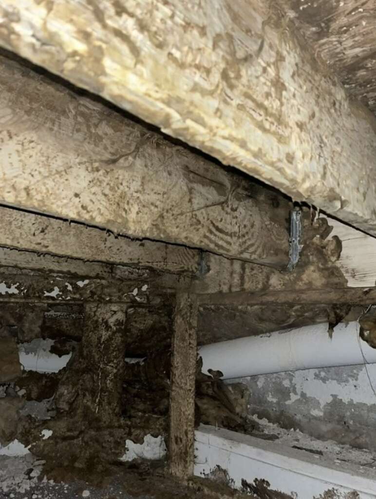 The crawl space reveals wooden beams marred by water damage and mold growth, a clear result of neglecting structural assessments. The area appears damp, with patches of discoloration and deterioration. In the background, a white pipe snakes along the concrete wall.