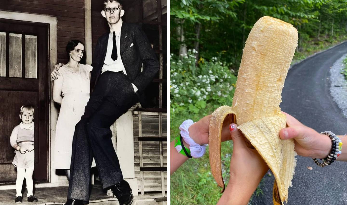 Left side: A tall man in a suit stands next to a woman and a child indoors. Right side: Two hands hold a large, peeled banana on a path lined with trees.