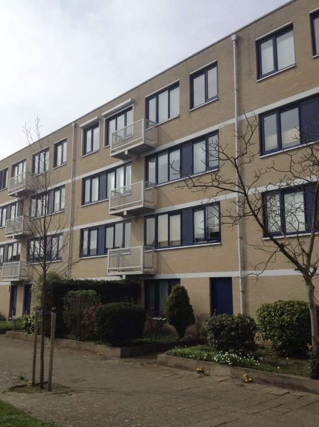 A four-story brick residential building with blue window frames and doors. Each floor has small balconies. Leafless trees and shrubs are in front, along a paved pathway. The sky is overcast.