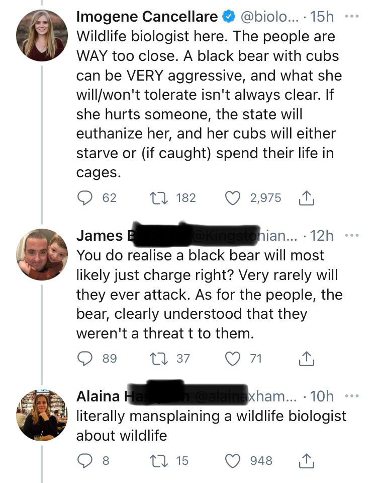 Screenshot of a Twitter exchange: Imogene states black bears with cubs can be very aggressive and face consequences if they harm people. James replies that black bears rarely attack. Alaina comments about mansplaining wildlife to a biologist.