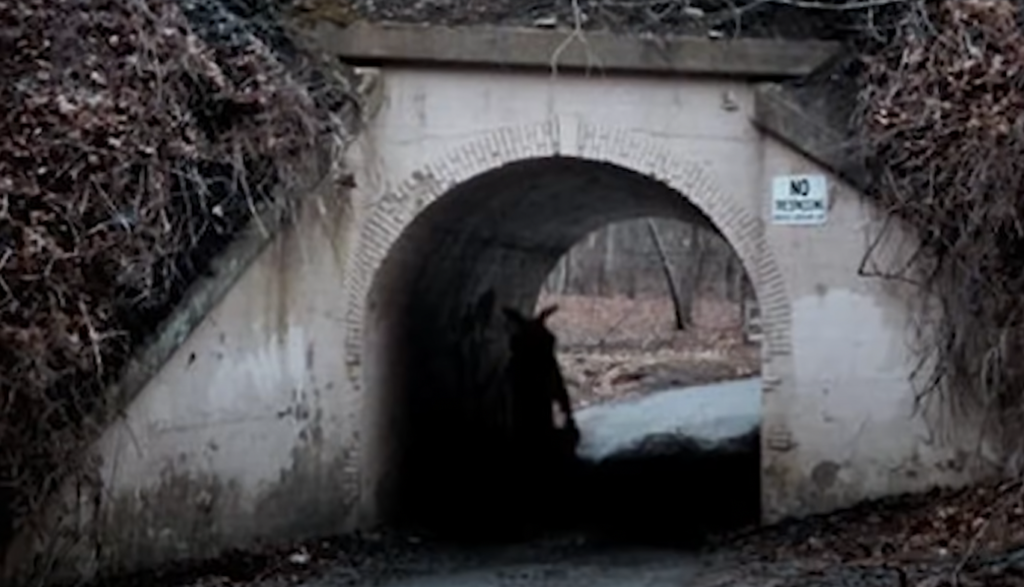 A shadowy figure stands in the entrance of a small, dark tunnel with a curved arch. Sparse trees and dry leaves surround the scene. A sign reading "No Trespassing" is attached to the right side of the tunnel.