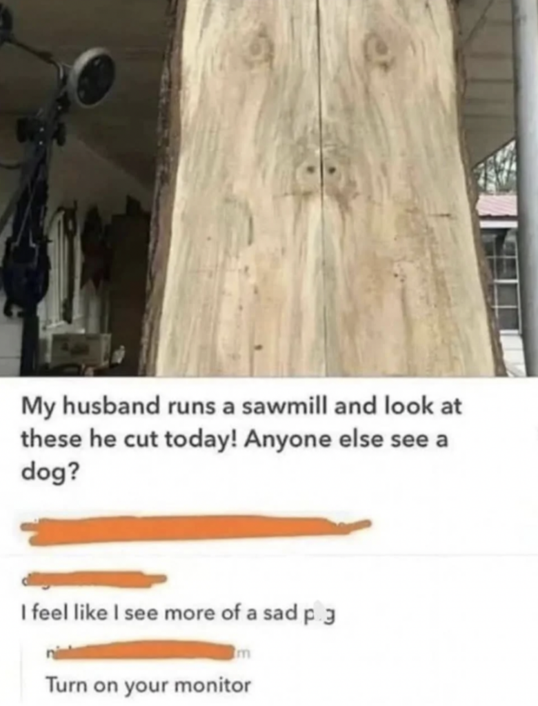 A wooden board with a natural wood grain pattern resembling a dog's face. A text exchange below shows someone commenting about seeing a dog, while another suggests turning on the monitor to see clearly.