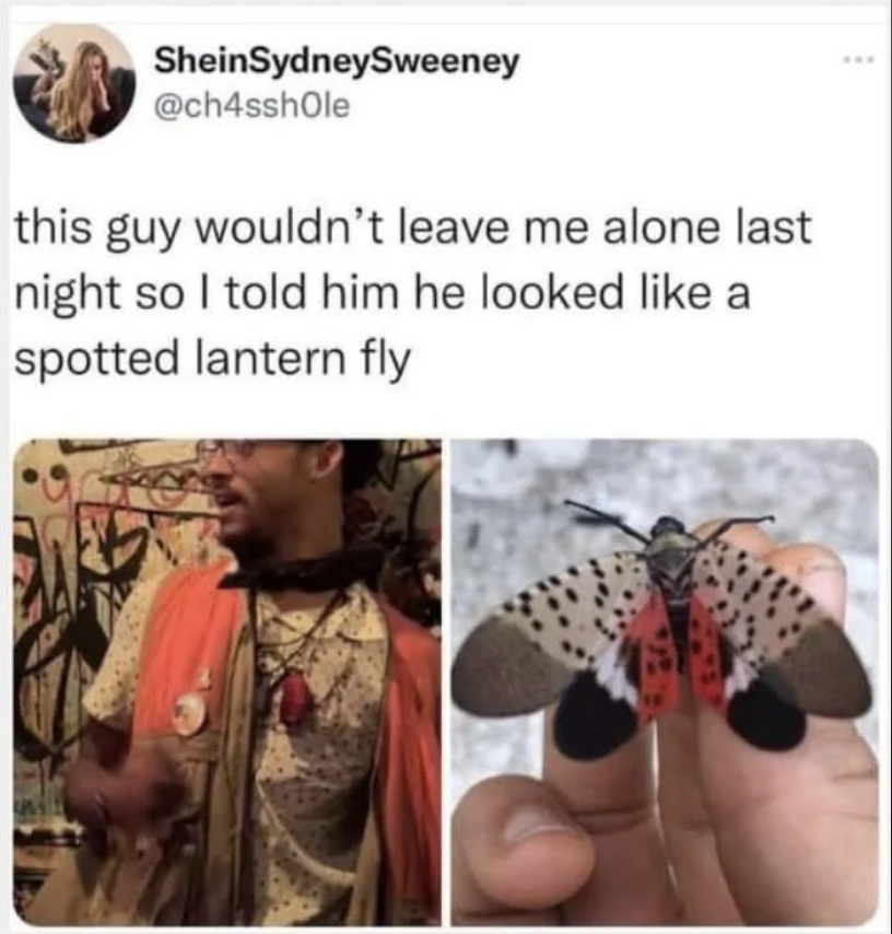 A tweet shows a man with glasses wearing colorful clothing and a scarf, next to a close-up of a spotted lanternfly on a person's hand. The tweet jokes about telling the man he looked like the insect.