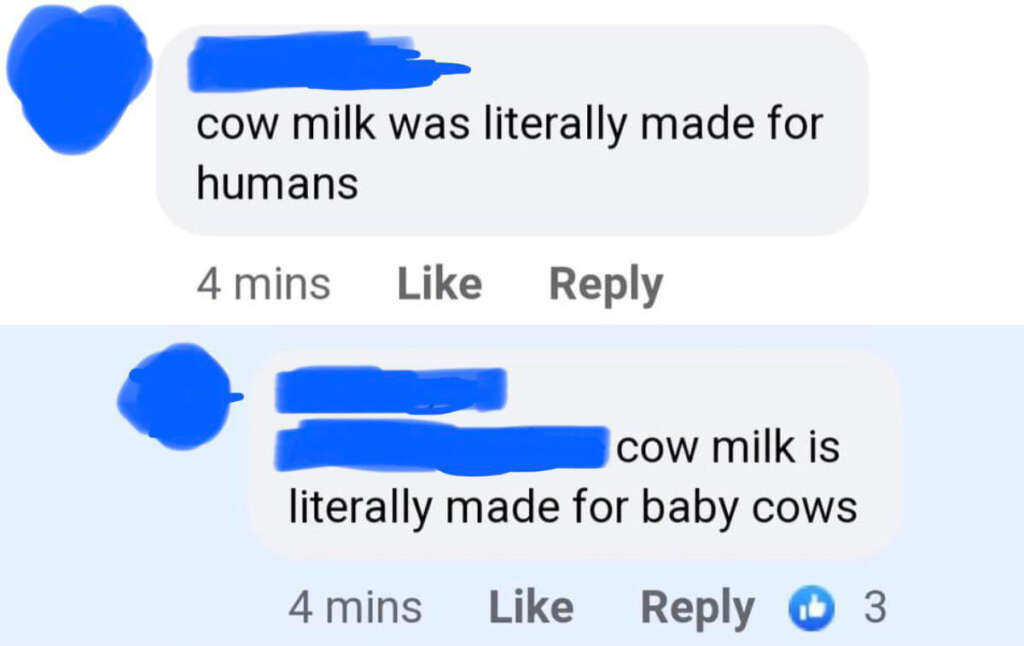 A screenshot of a social media comment thread. The first comment says, "cow milk was literally made for humans." The reply corrects, "cow milk is literally made for baby cows." The thread shows 3 likes on the reply.