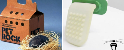 Left side: A Pet Rock in a cardboard box with straw bedding. Right side: A Licki Brush, a tongue-shaped cat grooming tool with a handle, alongside its logo and tagline "LICKI BRUSH, LICK YOUR CAT.