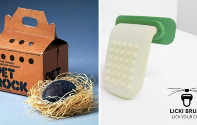 Left side: A Pet Rock in a cardboard box with straw bedding. Right side: A Licki Brush, a tongue-shaped cat grooming tool with a handle, alongside its logo and tagline "LICKI BRUSH, LICK YOUR CAT.