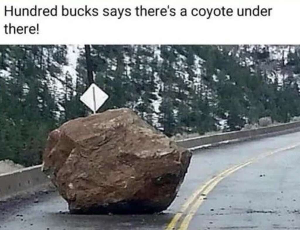 A large boulder sits in the middle of a road, near a bend, with a snowy mountain and forest in the background. A sign next to the boulder is partially visible. The caption humorously suggests a coyote might be trapped beneath.