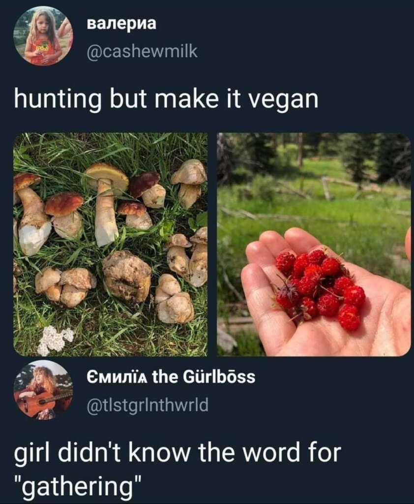 Split image: Left side shows various mushrooms on grass. Right side shows a hand holding small red berries. Twitter post caption says "hunting but make it vegan" and reply says "girl didn't know the word for 'gathering'.