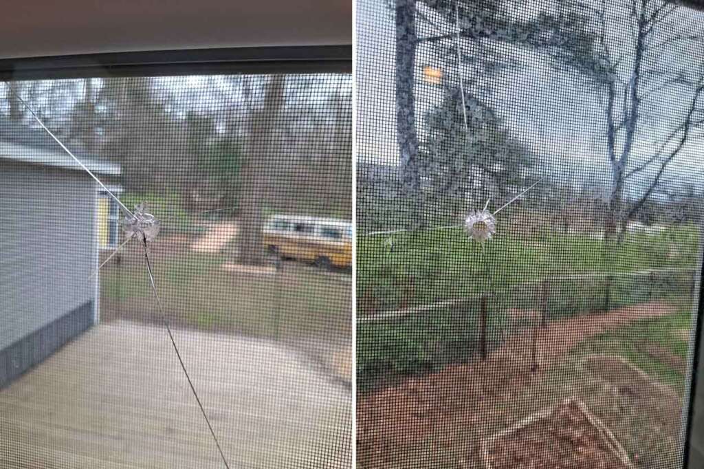 Side-by-side images of two cracked windows with visible impact points. The first window shows a wooded outdoor scene and a house. The second window shows a yard with a fence and trees.