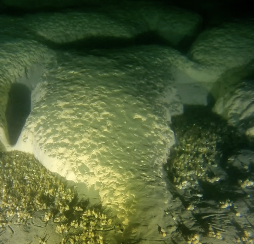 Underwater scene showing a mysterious rectangular structure with a knobbly surface, surrounded by seaweed and marine life. The structure is partially illuminated, contrasting with the darker waters around.