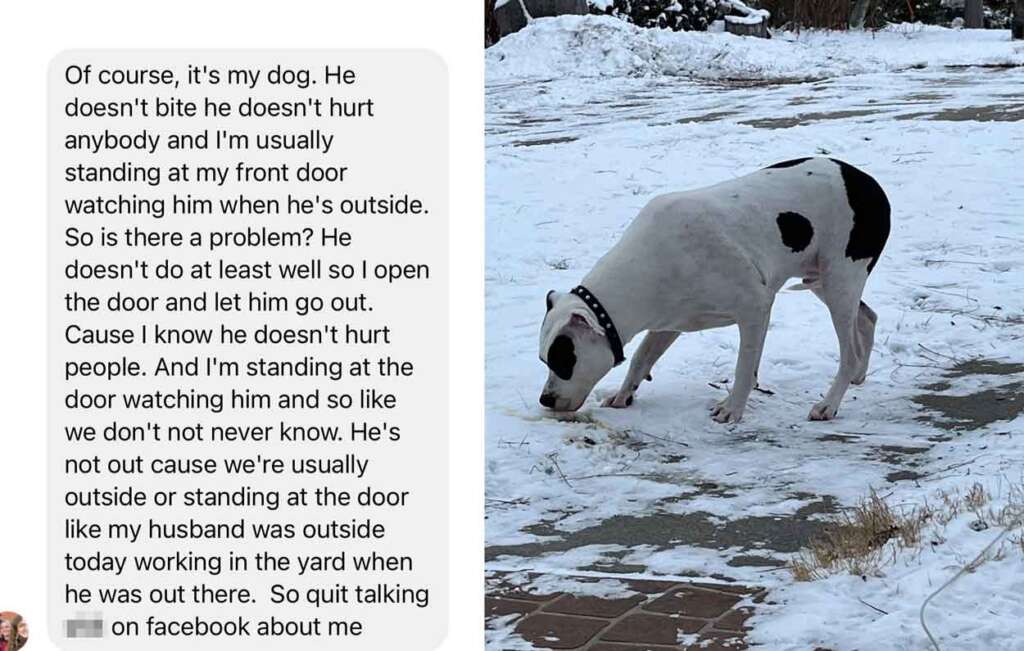 A white dog with black spots sniffs the snowy ground near a paved area. Visible in the background is a snowy landscape with trees. On the left, there's a text conversation discussing the dog's behavior and presence outside.