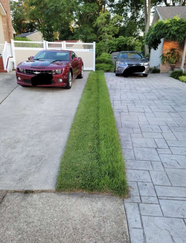 A driveway features two parked cars with a strip of grass perfectly dividing them. The car on the left is red, and the car on the right is gray, against a background of trees and a small house.