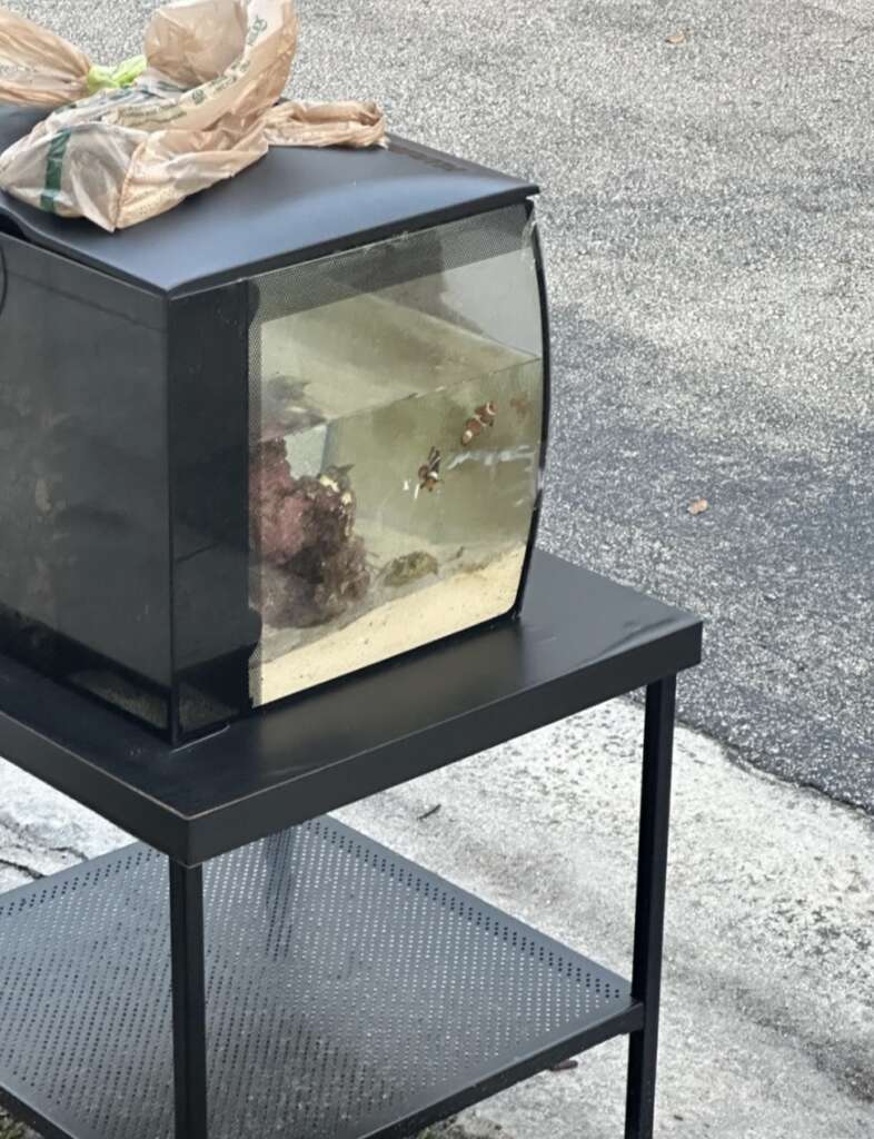 A small fish tank with two clownfish and rocks sits on a black metal stand. A plastic bag rests on top of the tank. The setup is positioned on an outdoor pavement.