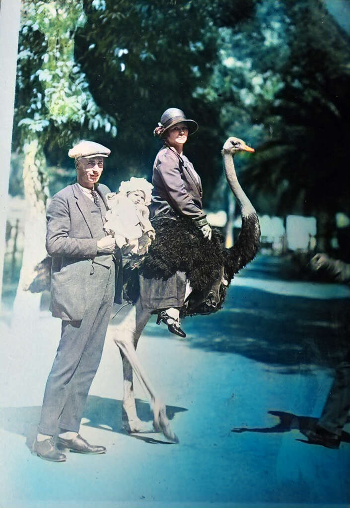 A woman wearing a hat and gloves rides an ostrich with a fluffy saddle. A man in a suit and flat cap stands beside them, holding the ostrich's head. Trees and a pathway are visible in the background.