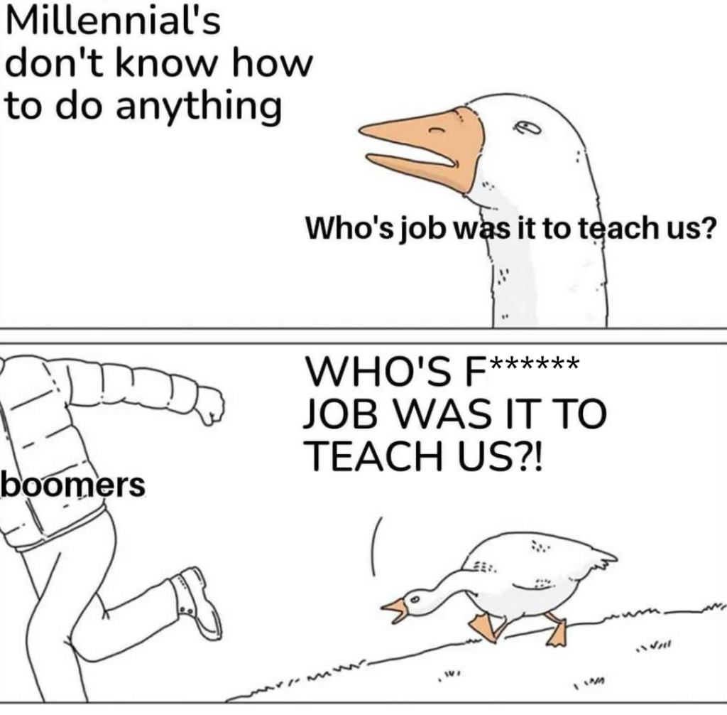 A comic with a goose yelling "Millennial's don't know how to do anything." A second goose responds, "Who's job was it to teach us?" The first goose chases away a person labeled "boomers," shouting, "WHO'S F****** JOB WAS IT TO TEACH US?!