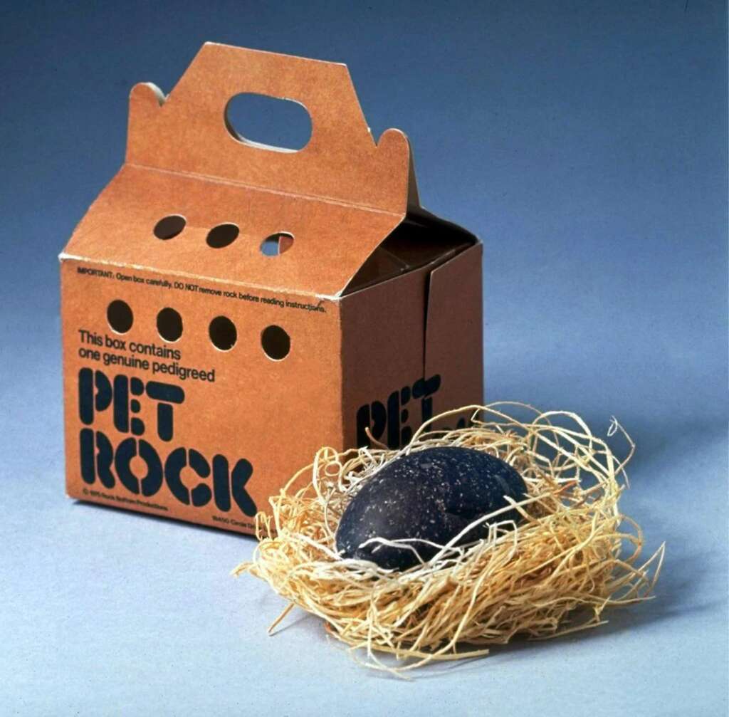 A small brown cardboard box labeled "Pet Rock" next to a round rock nestled in straw. The box has a handle and ventilation holes, resembling a pet carrier. The background is a plain gray surface.