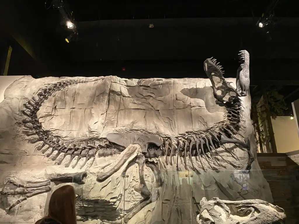 A large dinosaur fossil displayed on a museum wall, showcasing an almost complete skeleton. The fossil is set against a textured backdrop, with subdued lighting highlighting the bones. A visitor partially visible in the foreground.