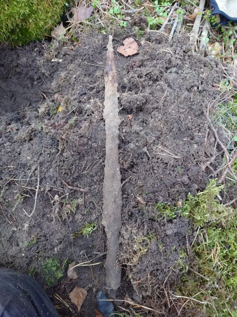 A long, rusty sword is partially buried in the soil with patches of grass and moss around it. Brown leaves and small twigs are visible on the ground nearby.