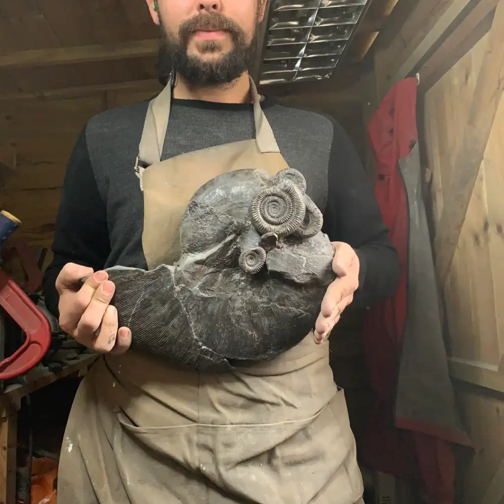 A person wearing an apron holds a large, dark ammonite fossil with intricate spiral patterns. The setting appears to be a workshop with wooden walls and tools in the background.