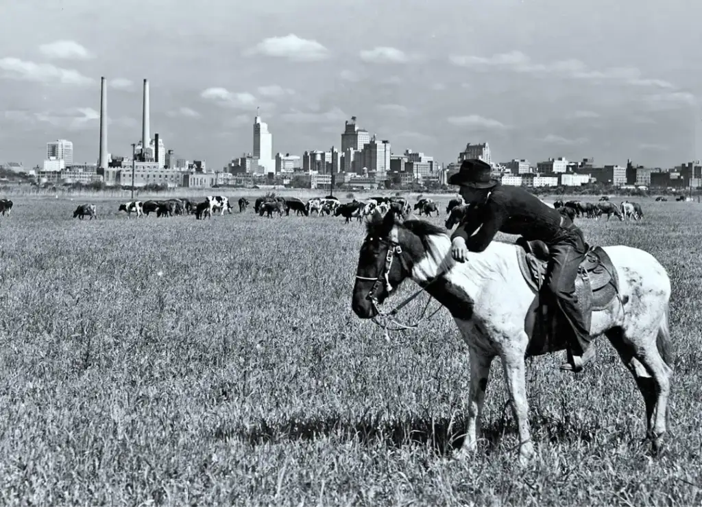 A person in a cowboy hat rides a horse in a grassy field. In the background, a herd of cattle grazes, and a city skyline with tall buildings and smokestacks stands under a partly cloudy sky.